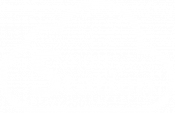Smartstation Logo weiß